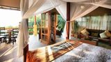 Hotel Casa Chameleon Room