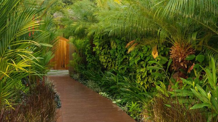 Hotel Casa Chameleon Other