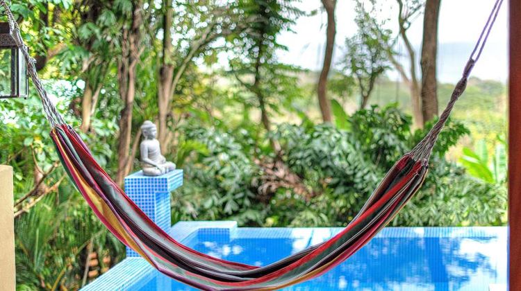 Hotel Casa Chameleon Pool