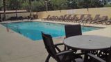Wyndham Garden Jacksonville Pool