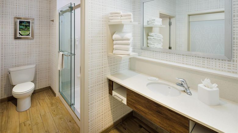 <b>Hampton Sts Asheville Biltmore Village Room</b>. Images powered by <a href="https://iceportal.shijigroup.com/" title="IcePortal" target="_blank">IcePortal</a>.
