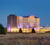Hilton Garden Inn Dallas/Arlington South Exterior