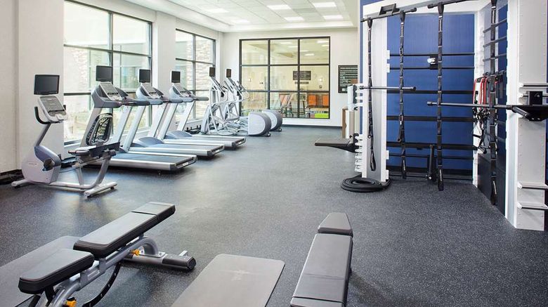 <b>Hilton Garden Inn Dallas/Arlington South Health</b>. Images powered by <a href="https://iceportal.shijigroup.com/" title="IcePortal" target="_blank">IcePortal</a>.
