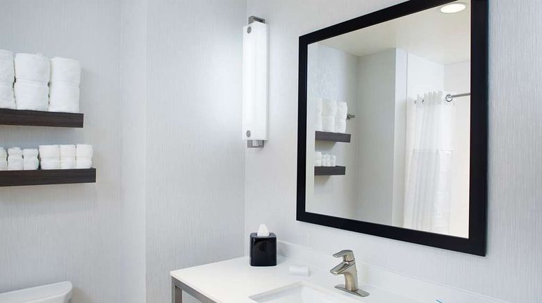 <b>Hilton Garden Inn Dallas/Arlington South Room</b>. Images powered by <a href="https://iceportal.shijigroup.com/" title="IcePortal" target="_blank">IcePortal</a>.