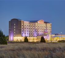 Hilton Garden Inn Dallas/Arlington South Exterior