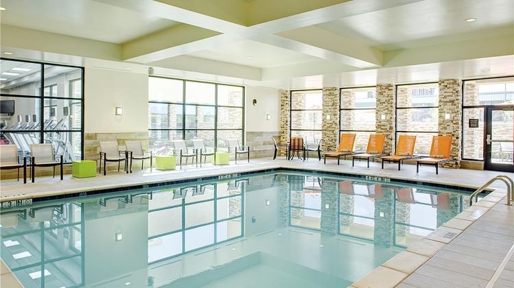 Hilton Garden Inn Dallas/Arlington South Pool