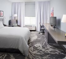 Hilton Garden Inn Dallas/Arlington South Room