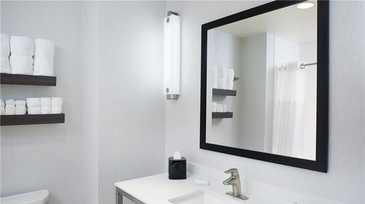 Hilton Garden Inn Dallas/Arlington South Room