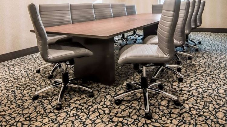 Hampton Inn & Suites Dallas-The Colony Meeting