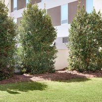 Home2 Suites by Hilton Prattville