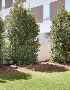 Home2 Suites by Hilton Prattville