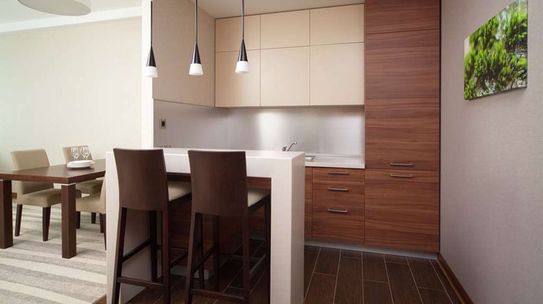 <b>Hilton Garden Inn Moscow Krasnoselskaya Other</b>. Images powered by <a href="https://iceportal.shijigroup.com/" title="IcePortal" target="_blank">IcePortal</a>.