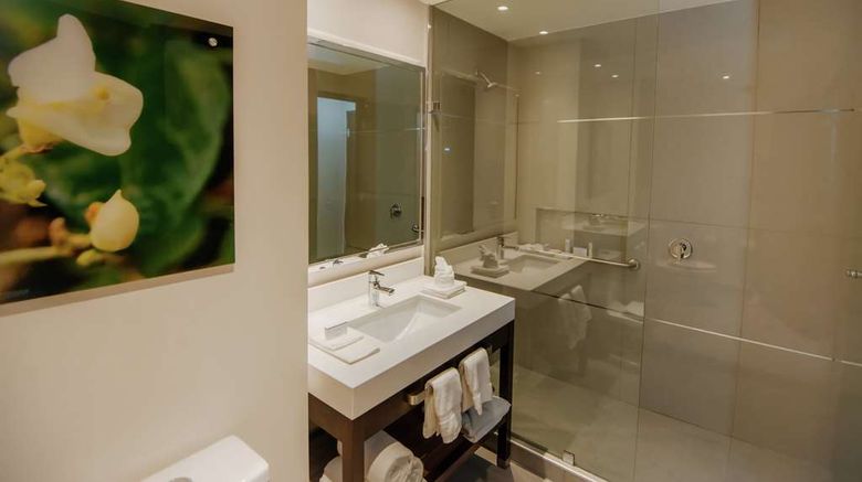<b>Hilton Garden Inn Puebla Angelopolis Room</b>. Images powered by <a href="https://iceportal.shijigroup.com/" title="IcePortal" target="_blank">IcePortal</a>.