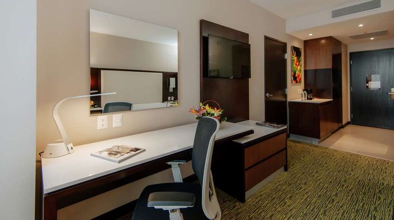 <b>Hilton Garden Inn Puebla Angelopolis Other</b>. Images powered by <a href="https://iceportal.shijigroup.com/" title="IcePortal" target="_blank">IcePortal</a>.