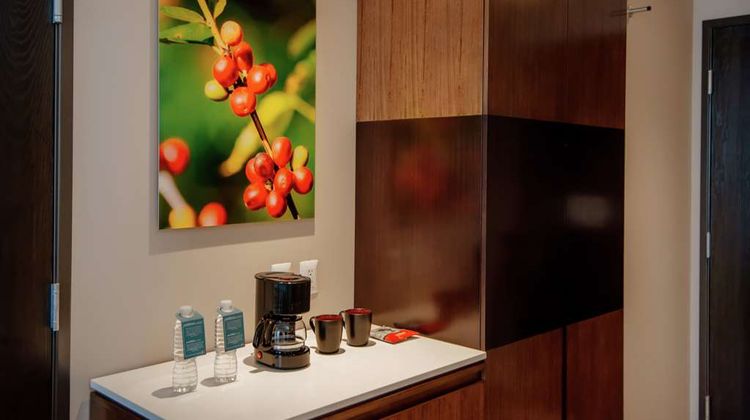 Hilton Garden Inn Puebla Angelopolis Other