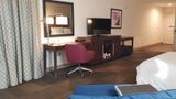 Hampton Inn by Hilton New Paltz Room