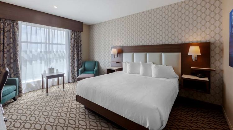 Best Western Plus St John's Airport Room