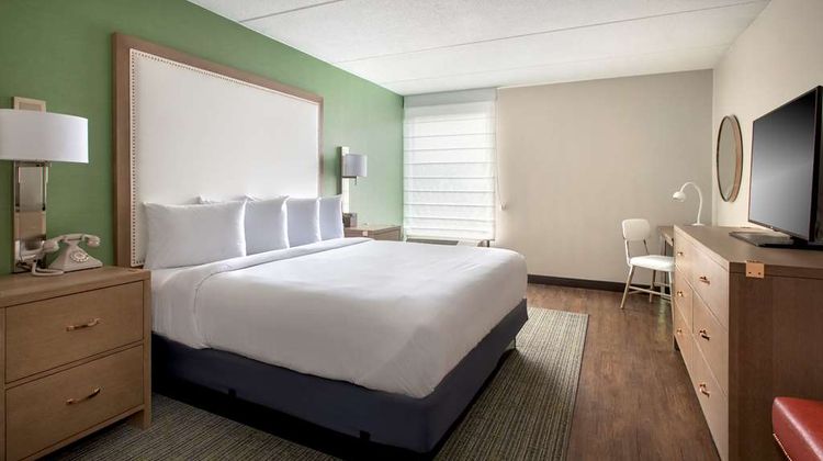 Hayes Street Hotel Room