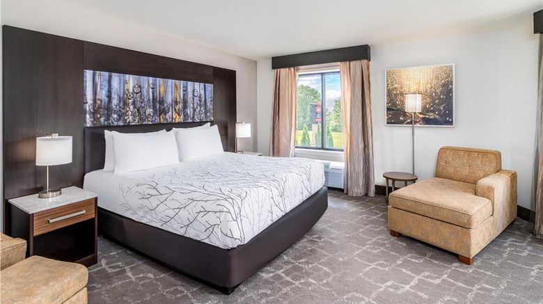 <b>Aiden by Best Western at Warm Springs Hotel Room</b>. Images powered by <a href="https://iceportal.shijigroup.com/" title="IcePortal" target="_blank">IcePortal</a>.