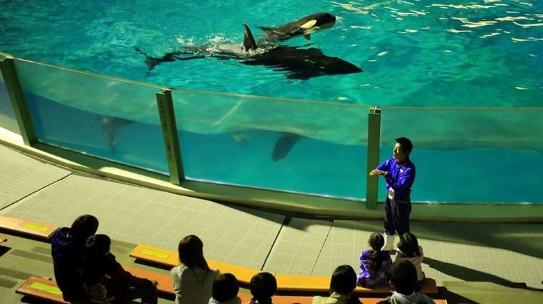 <b>Kamogawa Sea World Hotel Pool</b>. Images powered by <a href="https://iceportal.shijigroup.com/" title="IcePortal" target="_blank">IcePortal</a>.