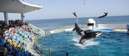 Kamogawa Sea World Hotel Pool