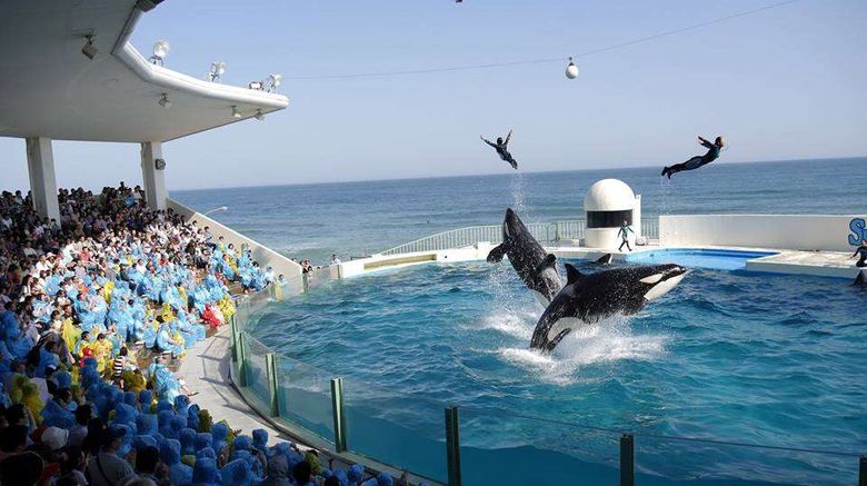 <b>Kamogawa Sea World Hotel Pool</b>. Images powered by <a href="https://iceportal.shijigroup.com/" title="IcePortal" target="_blank">IcePortal</a>.
