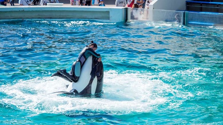 <b>Kamogawa Sea World Hotel Recreation</b>. Images powered by <a href="https://iceportal.shijigroup.com/" title="IcePortal" target="_blank">IcePortal</a>.