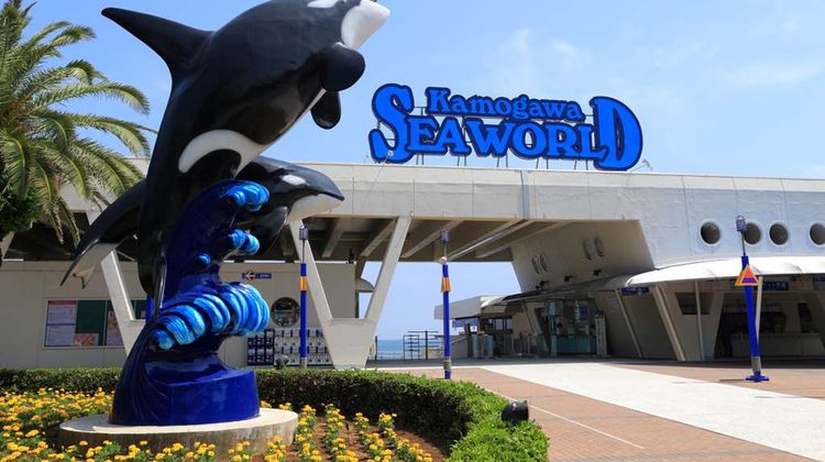 Kamogawa Sea World Hotel Pool