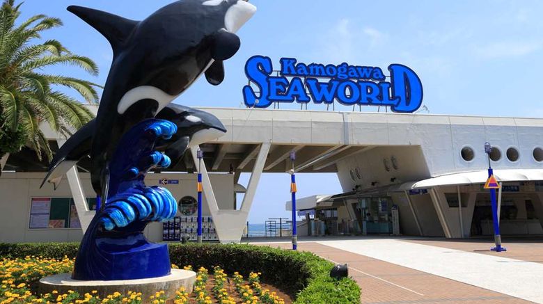 <b>Kamogawa Sea World Hotel Pool</b>. Images powered by <a href="https://iceportal.shijigroup.com/" title="IcePortal" target="_blank">IcePortal</a>.