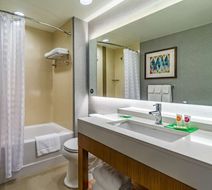 Hyatt Place Blacksburg/University Room