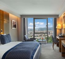 Moevenpick Bursa Thermal Spa Room