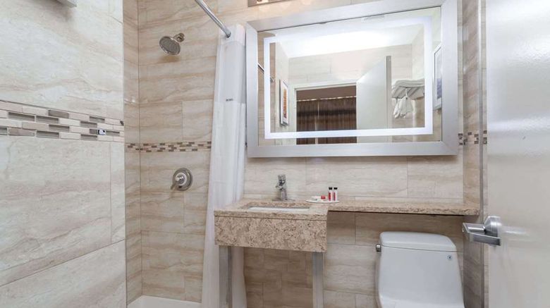 <b>Days Inn Brooklyn Crown Heights Room</b>. Images powered by <a href="https://iceportal.shijigroup.com/" title="IcePortal" target="_blank">IcePortal</a>.