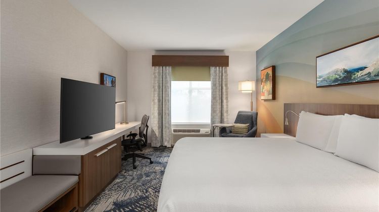 Hilton Garden Inn Santa Barbara/Goleta Room