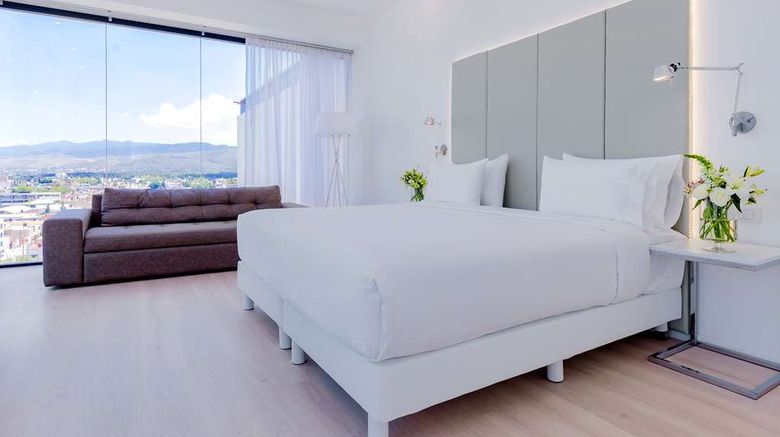 <b>NH San Luis Potosi Suite</b>. Images powered by <a href="https://iceportal.shijigroup.com/" title="IcePortal" target="_blank">IcePortal</a>.