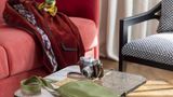 <b>Louis II St Germain Hotel Room</b>. Images powered by <a href="https://iceportal.shijigroup.com/" title="IcePortal" target="_blank">IcePortal</a>.