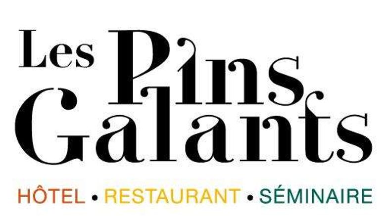 <b>Les Pins Galants Other</b>. Images powered by <a href="https://iceportal.shijigroup.com/" title="IcePortal" target="_blank">IcePortal</a>.