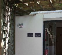 Le Dauphin Hotel Exterior