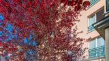 <b>CERISE Paris Chatou Exterior</b>. Images powered by <a href="https://iceportal.shijigroup.com/" title="IcePortal" target="_blank">IcePortal</a>.