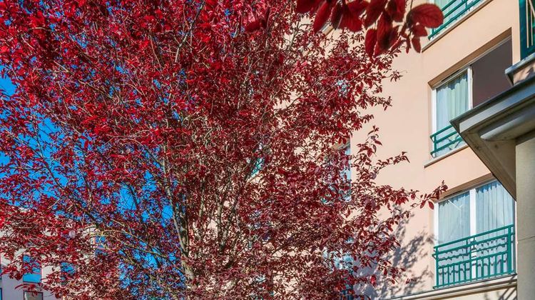 CERISE Paris Chatou Exterior