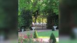 <b>Le Clos d'Amboise Exterior</b>. Images powered by <a href="https://iceportal.shijigroup.com/" title="IcePortal" target="_blank">IcePortal</a>.