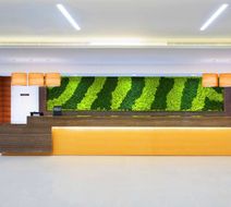 Hilton Garden Inn Ras Al Khaimah Lobby