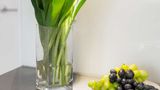 Biz Apartment Hammarby Sjostad Other