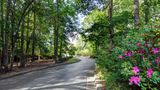 Peachtree City Hotel & Conference Center Exterior
