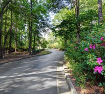 Peachtree City Hotel & Conference Center Exterior