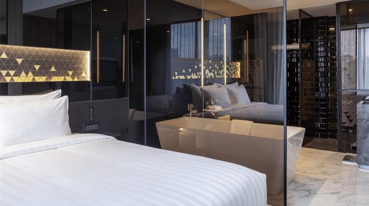 Novotel Singapore on Stevens Room