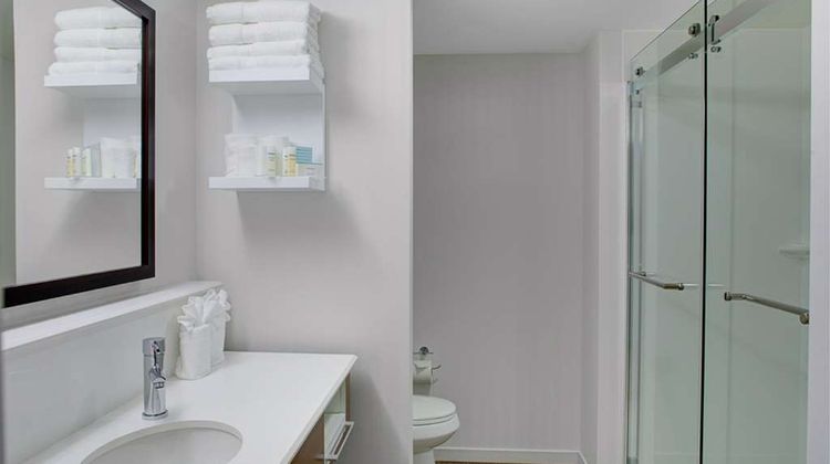 Hampton Inn & Suites Manchester Room