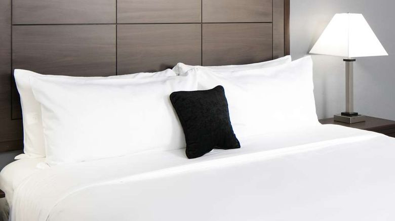 <b>Red Lion Inn & Suites Everett Room</b>. Images powered by <a href="https://iceportal.shijigroup.com/" title="IcePortal" target="_blank">IcePortal</a>.