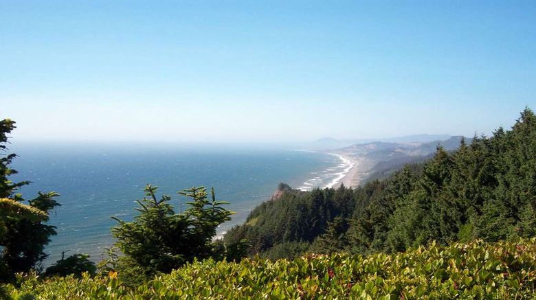 <b>SureStay Plus Hotel Gold Beach Other</b>. Images powered by <a href="https://iceportal.shijigroup.com/" title="IcePortal" target="_blank">IcePortal</a>.