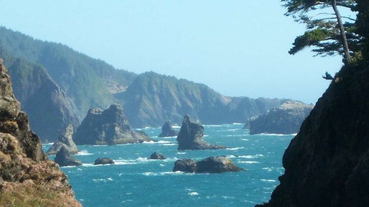 SureStay Plus Hotel Gold Beach Other