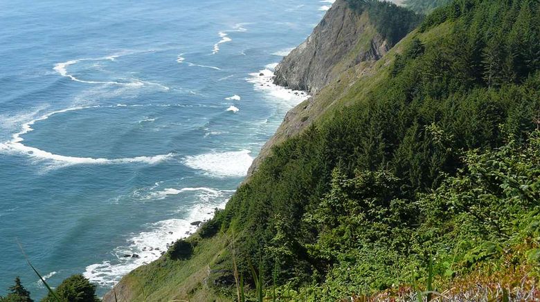 <b>SureStay Plus Hotel Gold Beach Other</b>. Images powered by <a href="https://iceportal.shijigroup.com/" title="IcePortal" target="_blank">IcePortal</a>.